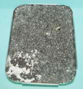 developing green mold on casing